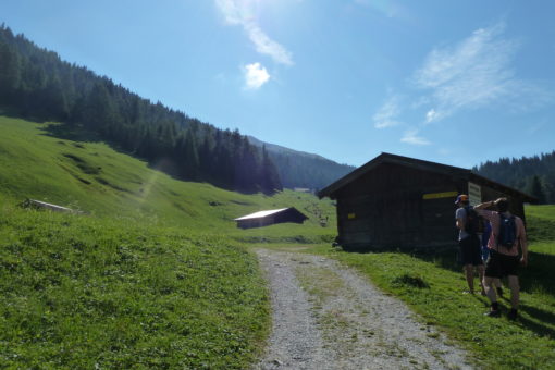 Wiesenweg zum Obernberger See im Wipptal