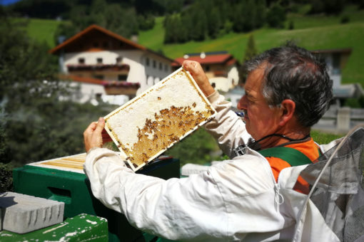Honigernte im Wipptal