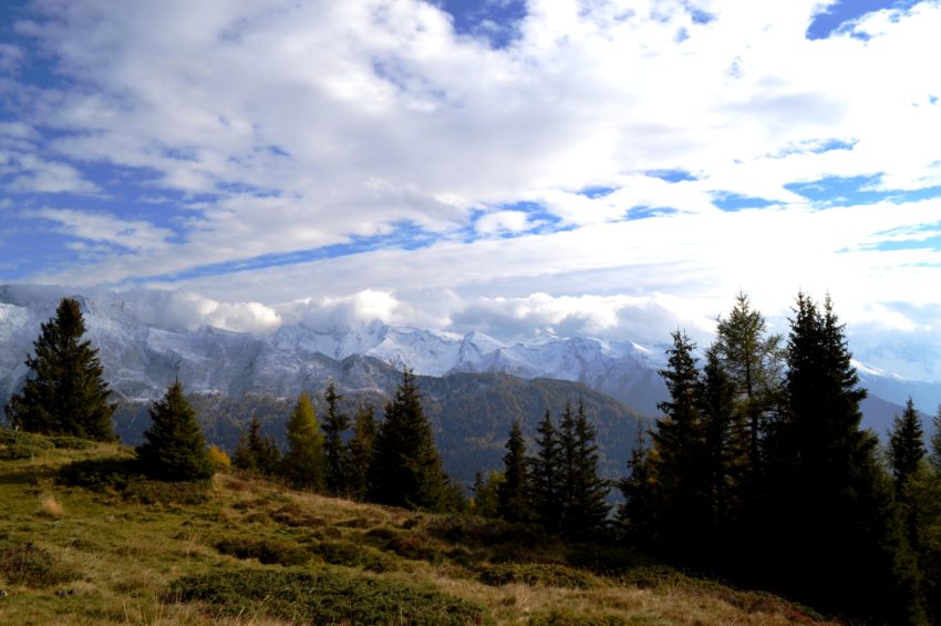 Schöner Ausblick auf die Zillertaler Alpen